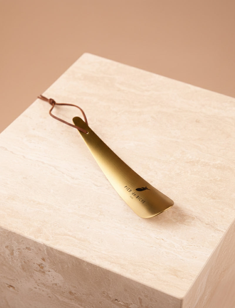 Shoehorn - Image principale