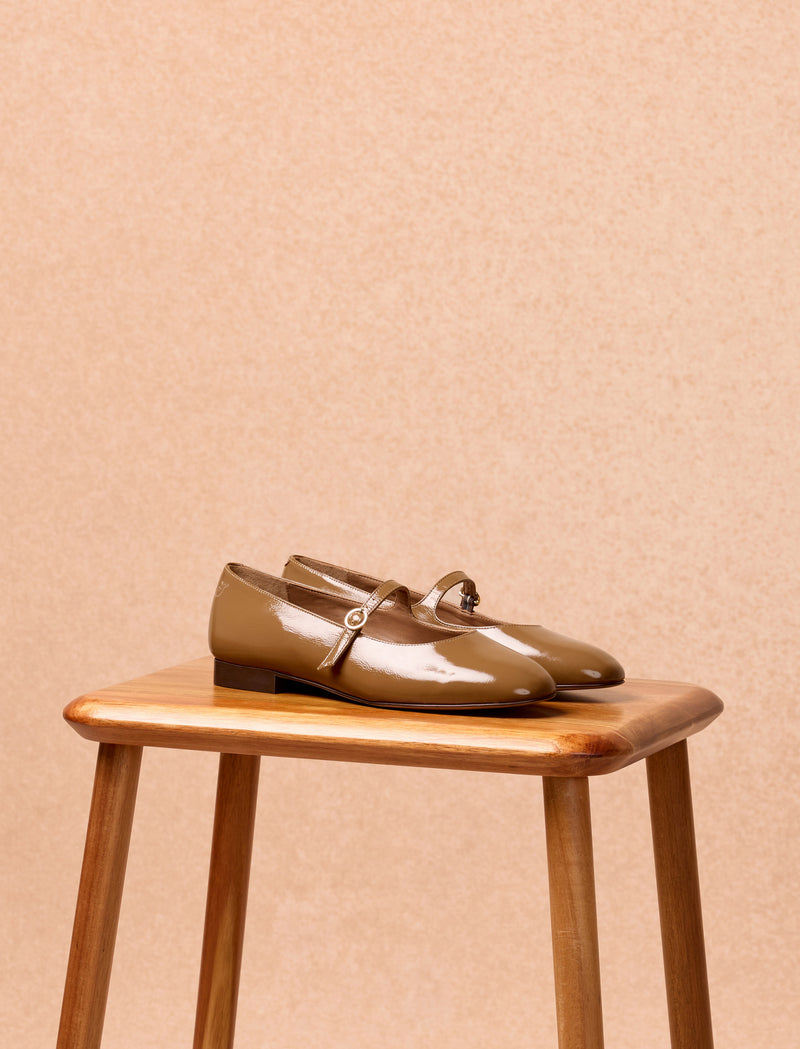 Camélia - Olivengebürstet - Image principale