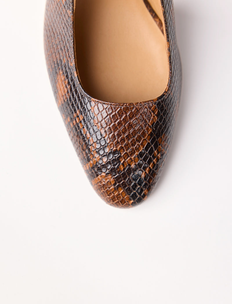 Ambre - Python - Image principale