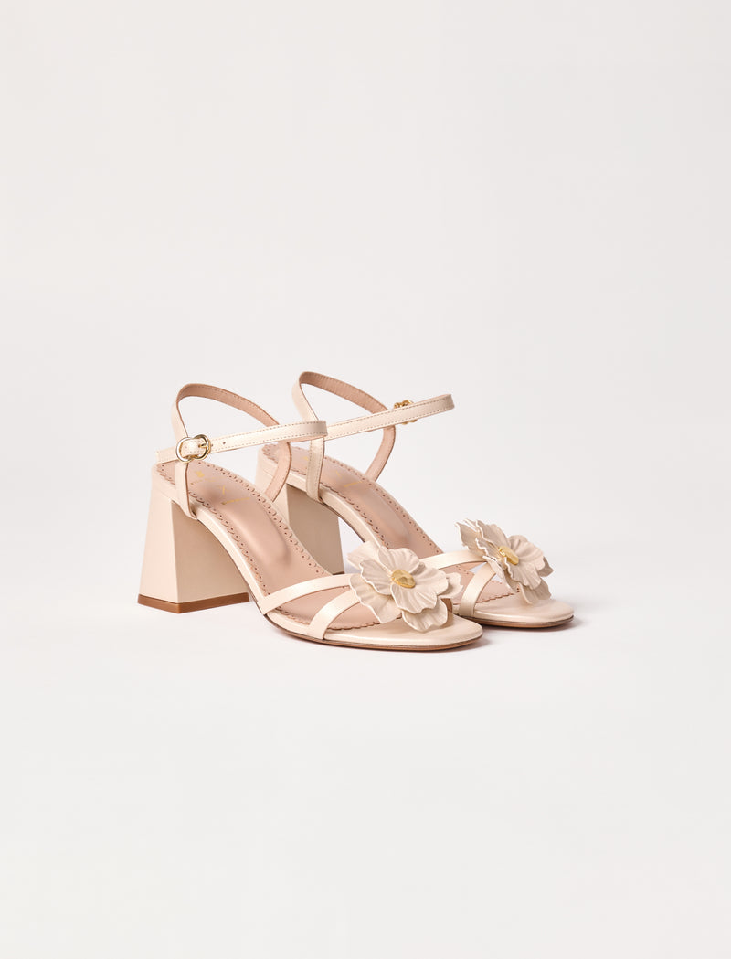 Éléonore Pauc - Elfenbein - Image principale