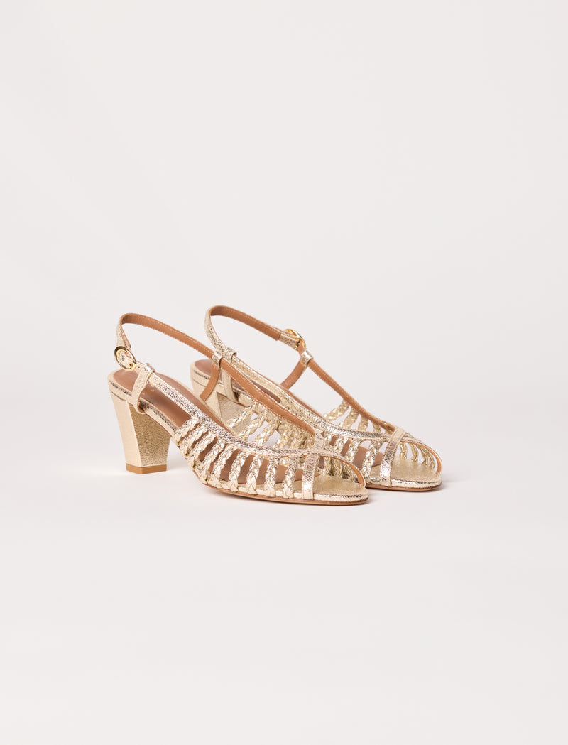 Fleur - Champagne - Image principale