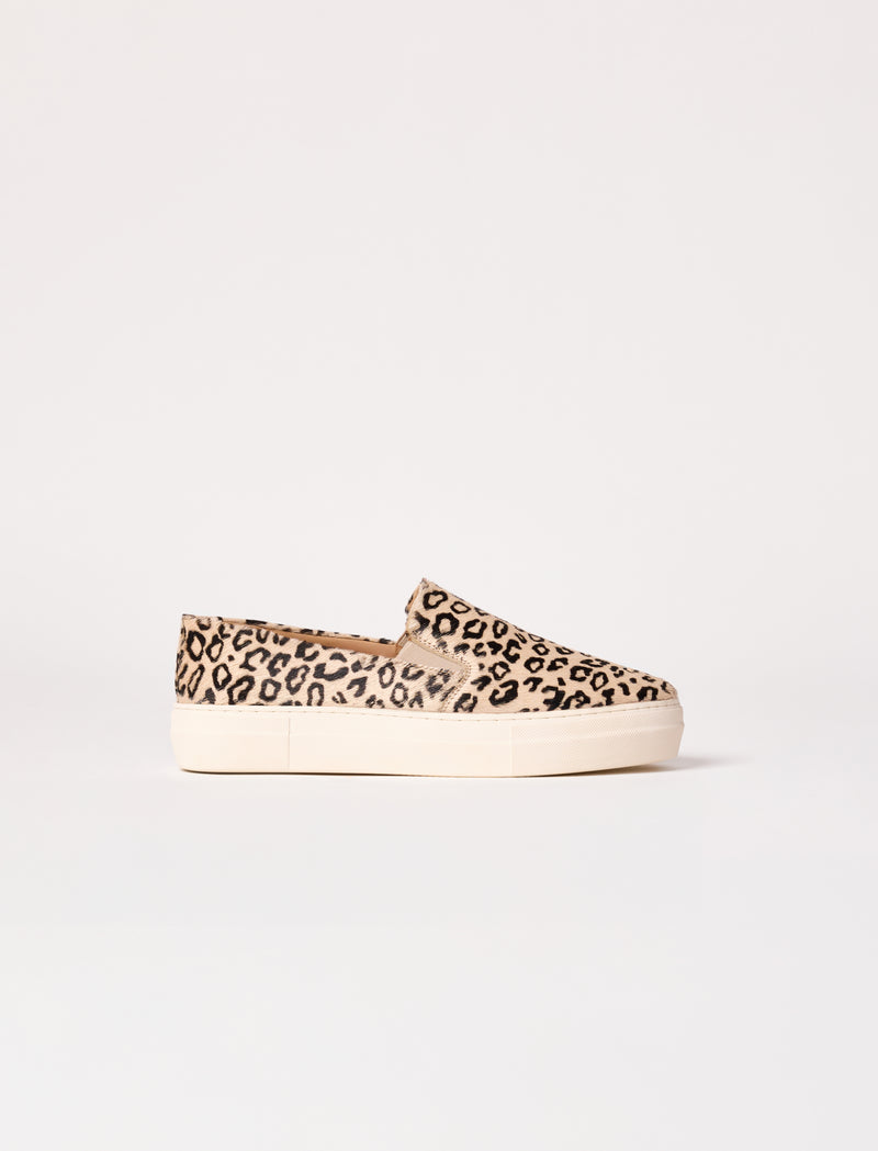 Calie - Pony - Image principale