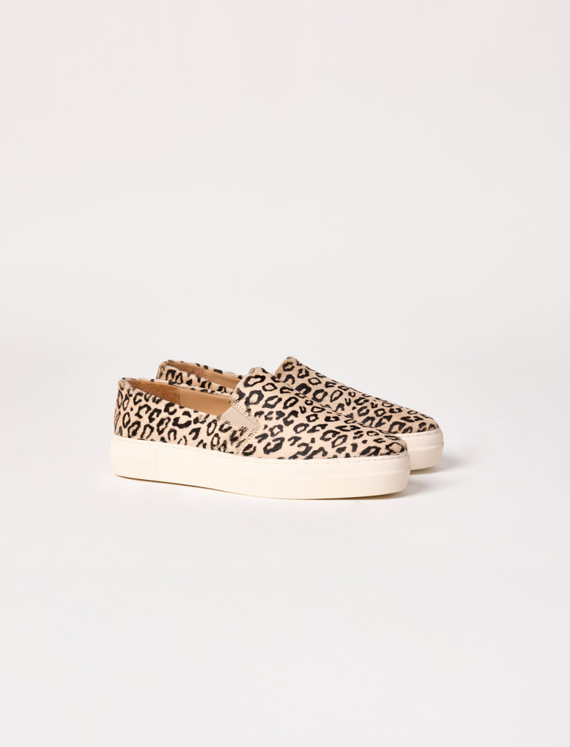 Calie - Pony - Image principale