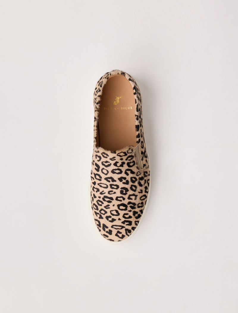 Calie - Pony - Image principale