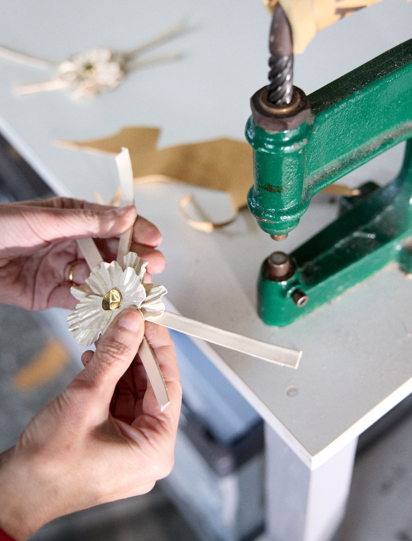 Éléonore Pauc - Elfenbein