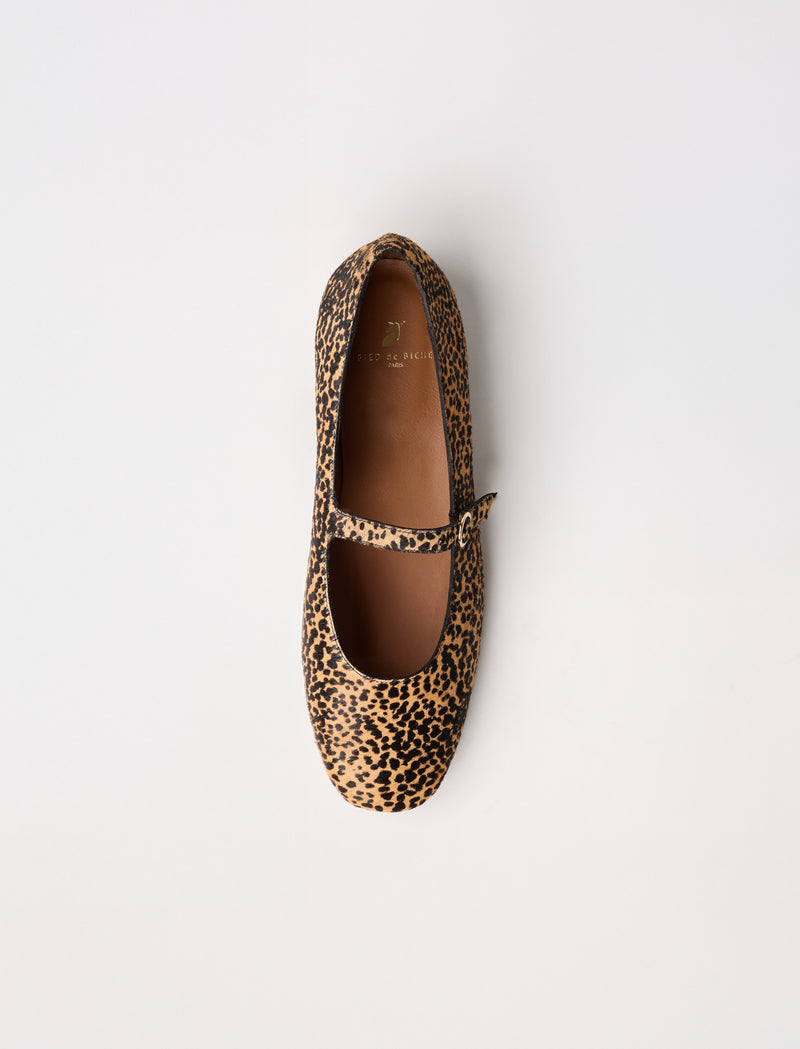 Camélia - Pony  - Image principale