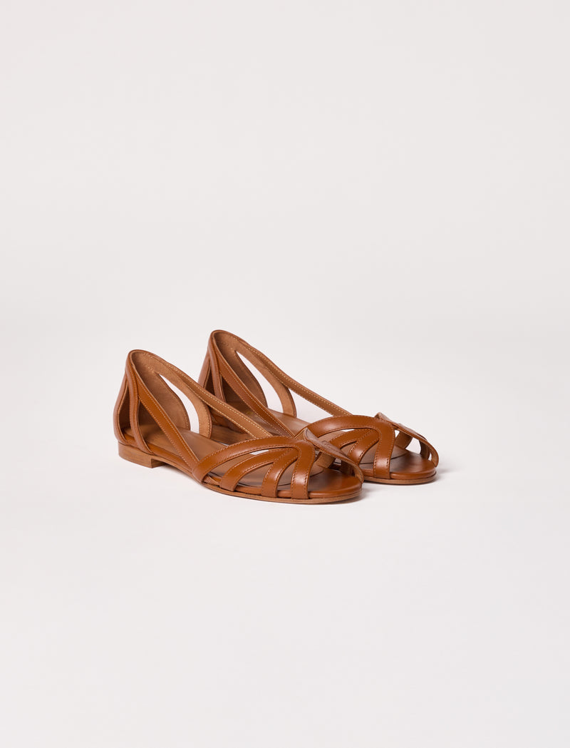 Hortensia - Cognac  - Image principale