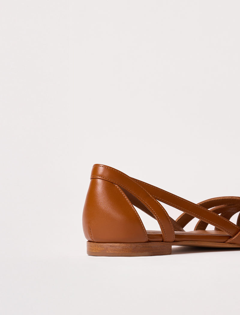 Hortensia - Cognac  - Image principale