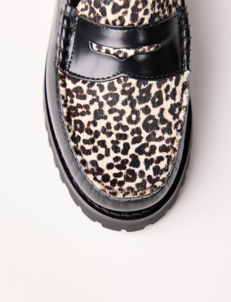 Amaya – Pony Leopard  - Image principale