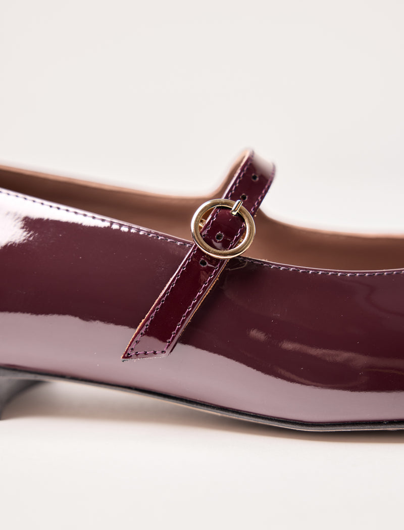 Camélia - Eggplant Glossed  - Image principale