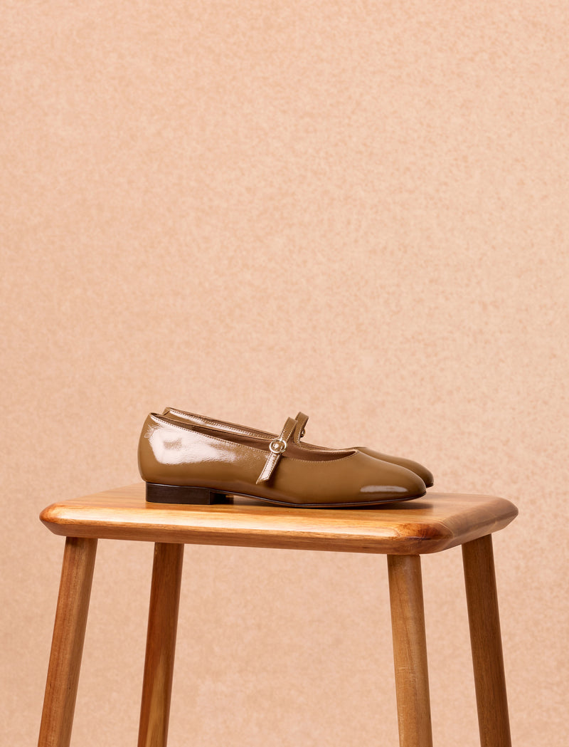 Camélia - Shiny Olive  - Image principale