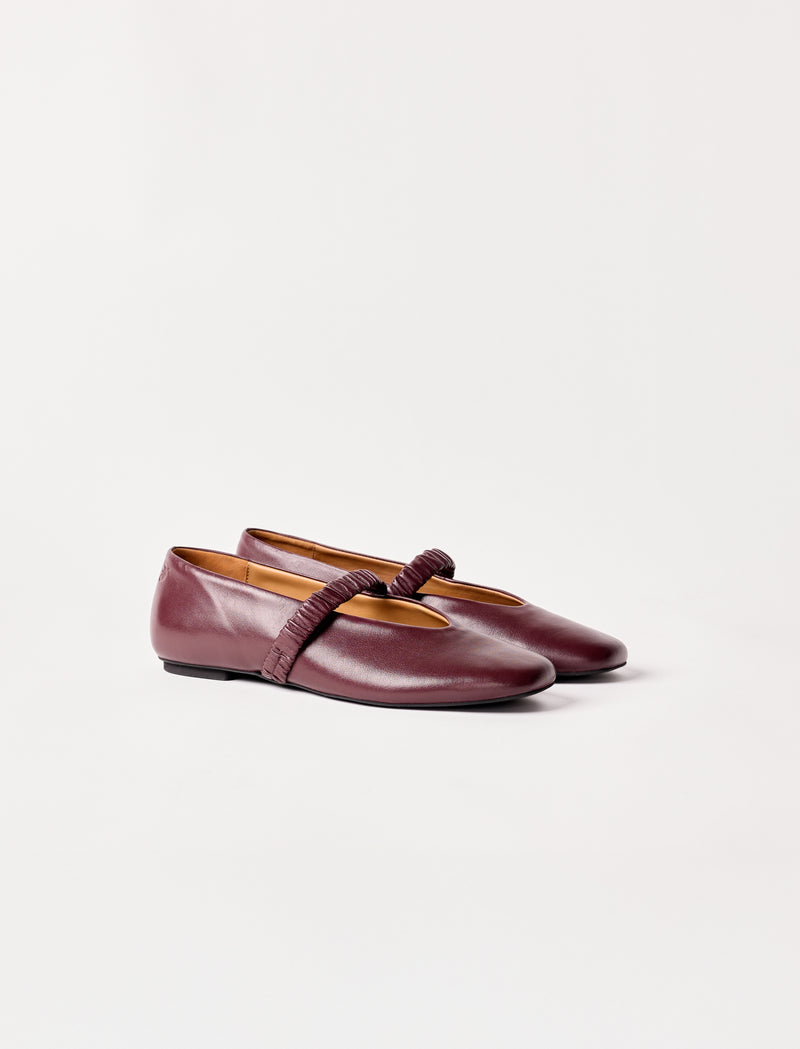 Rose - Eggplant  - Image principale