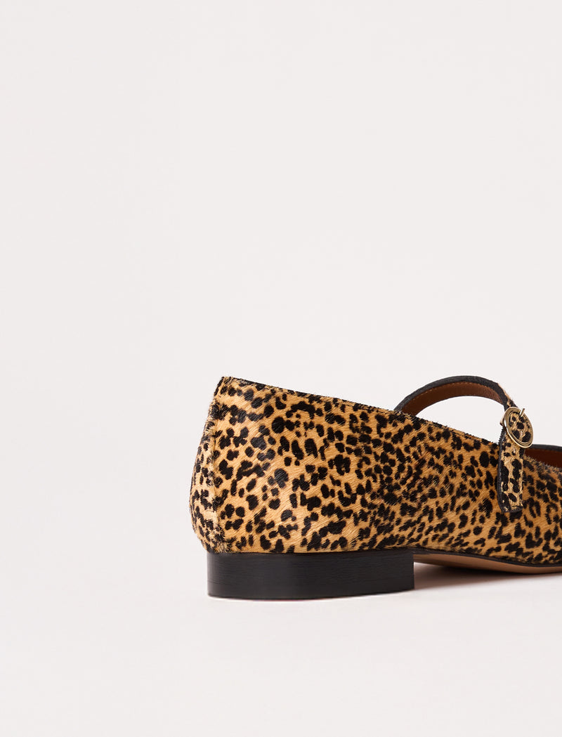 Camélia - Pony  - Image principale