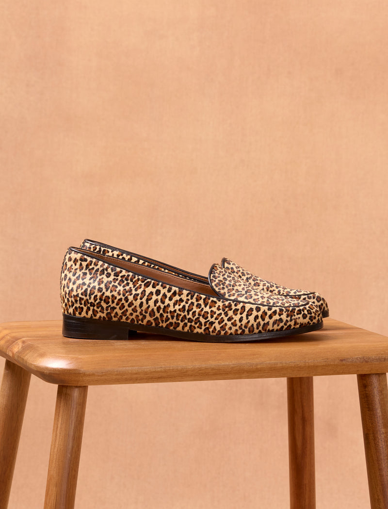 Lou - Leopard  - Image principale