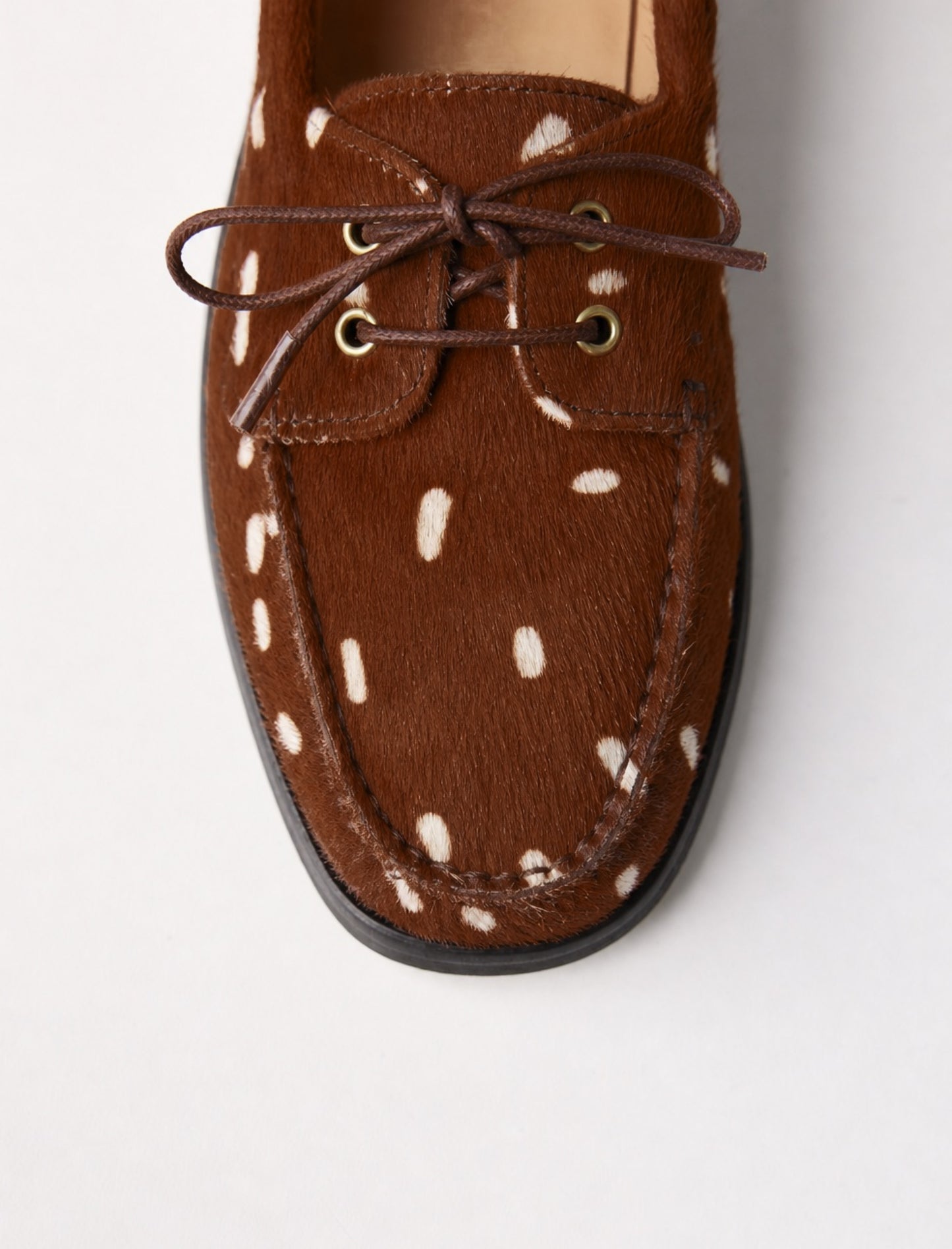 Albertine - Biche pony