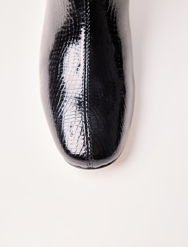 Albane - Black reptile  - Image principale