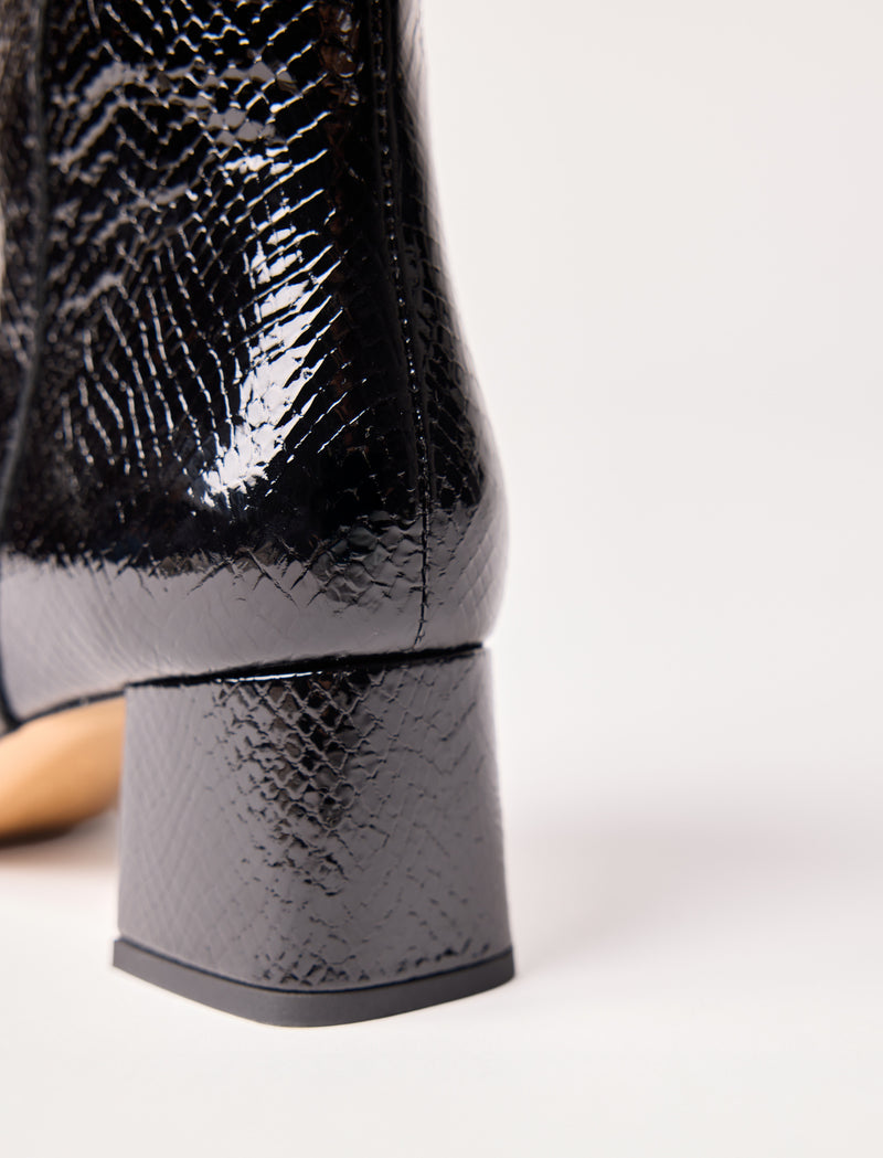 Albane - Black reptile  - Image principale