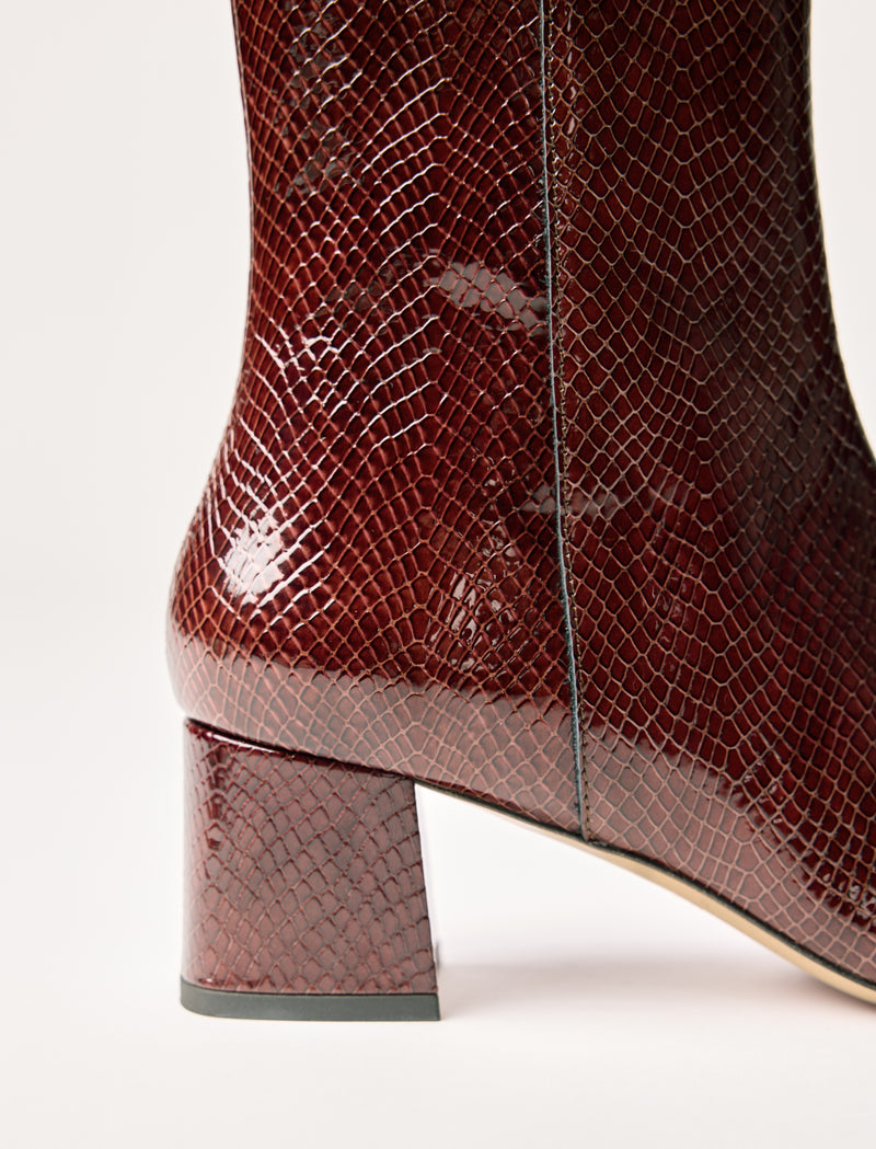 Albane - Mahogany Reptile  - Image principale