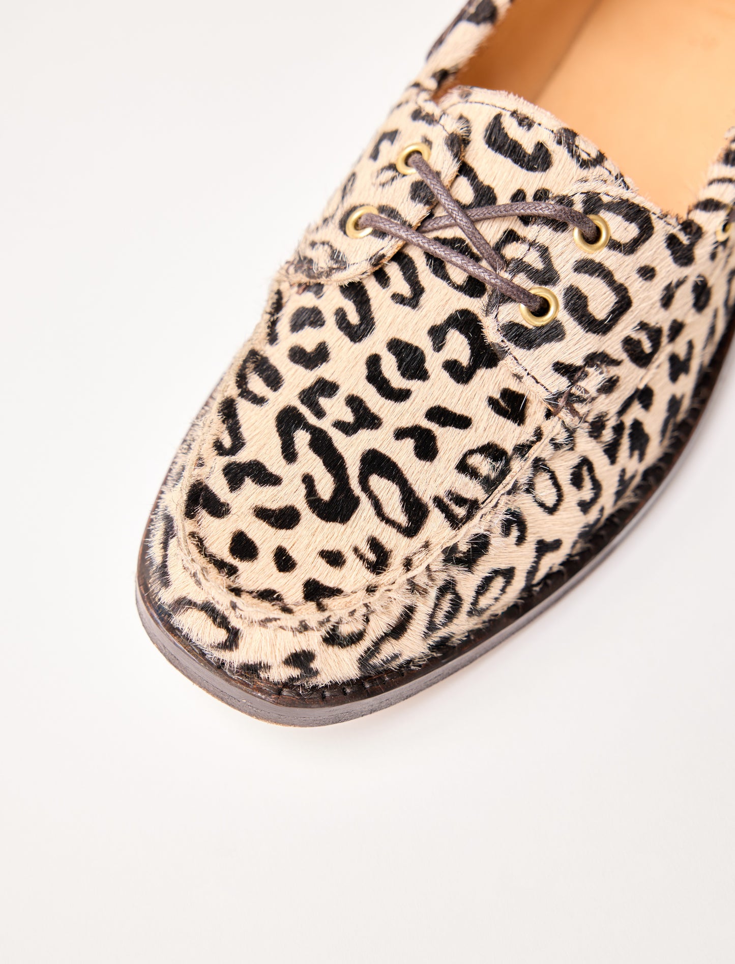 Albertine - Pony tâche