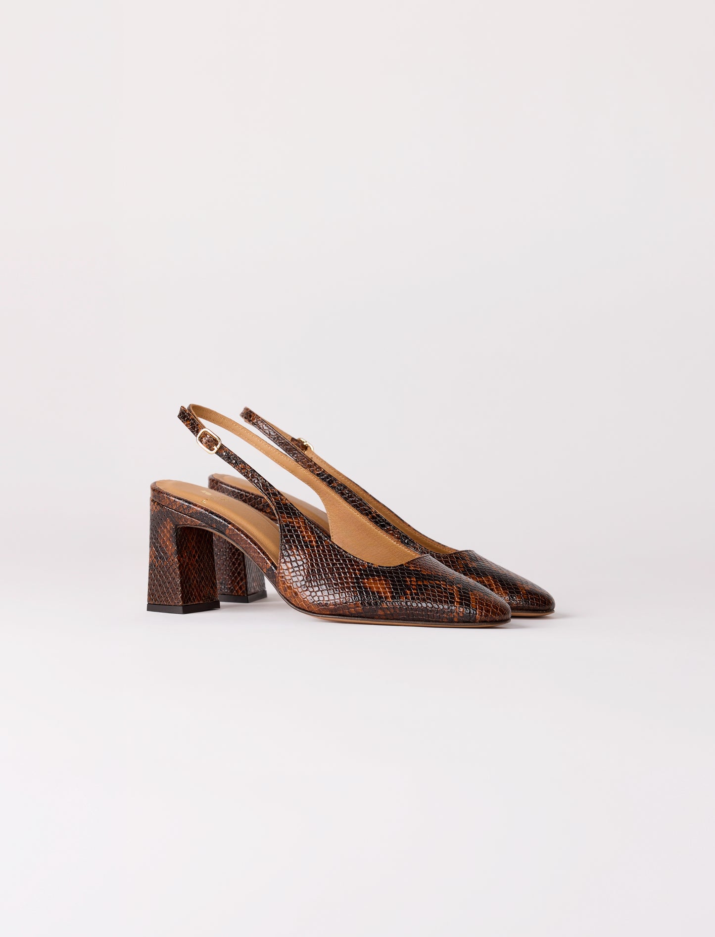 Ambre - Python 