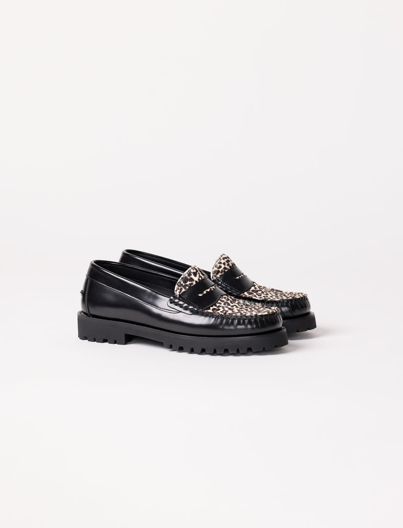 Amaya – Pony Leopard  - Image principale