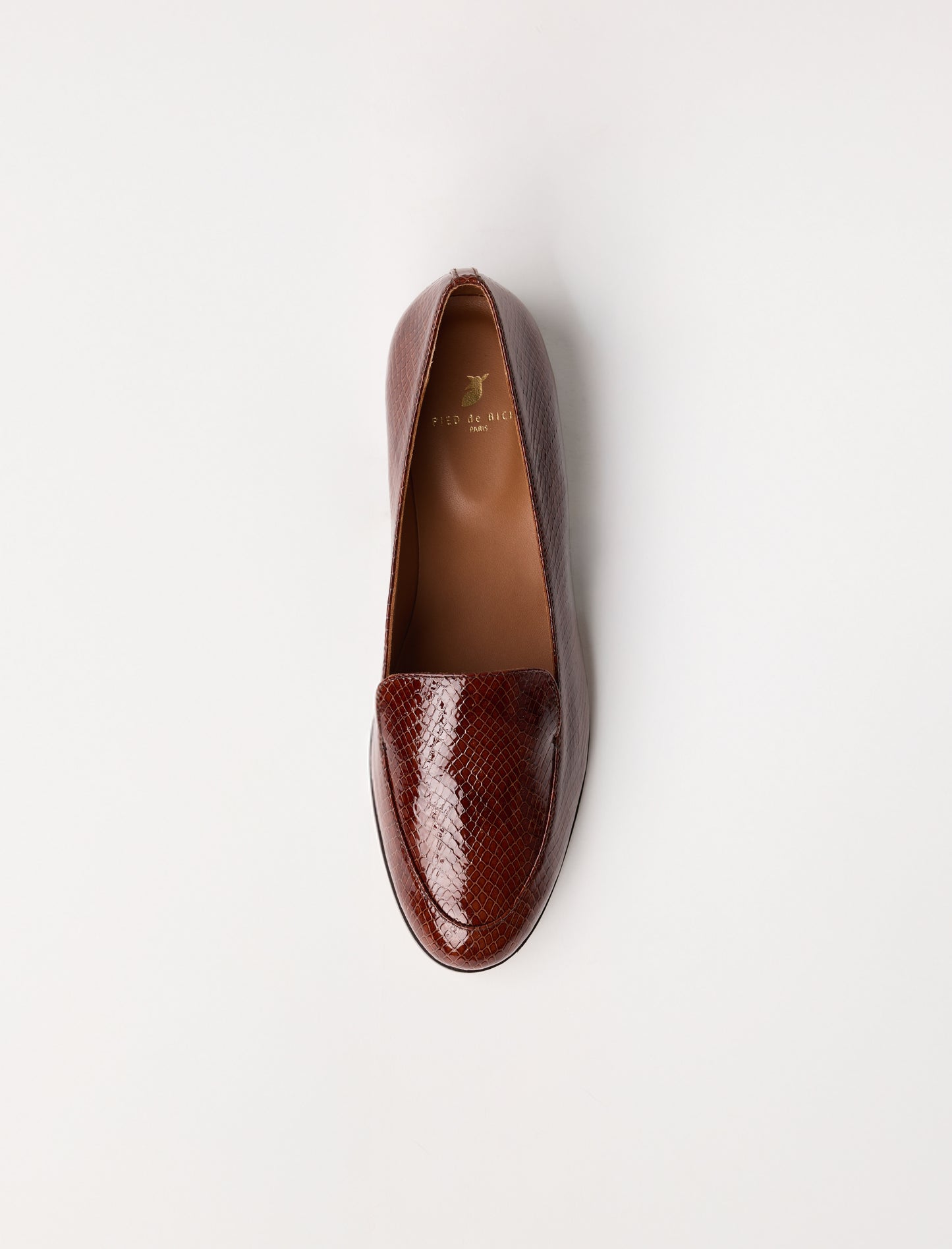 Lou - Acajou Reptile 