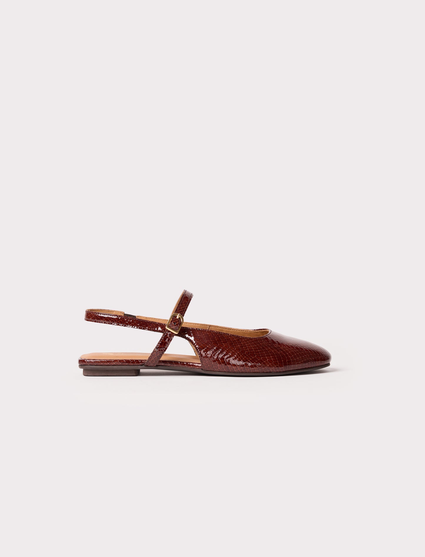 Lila - Acajou reptile