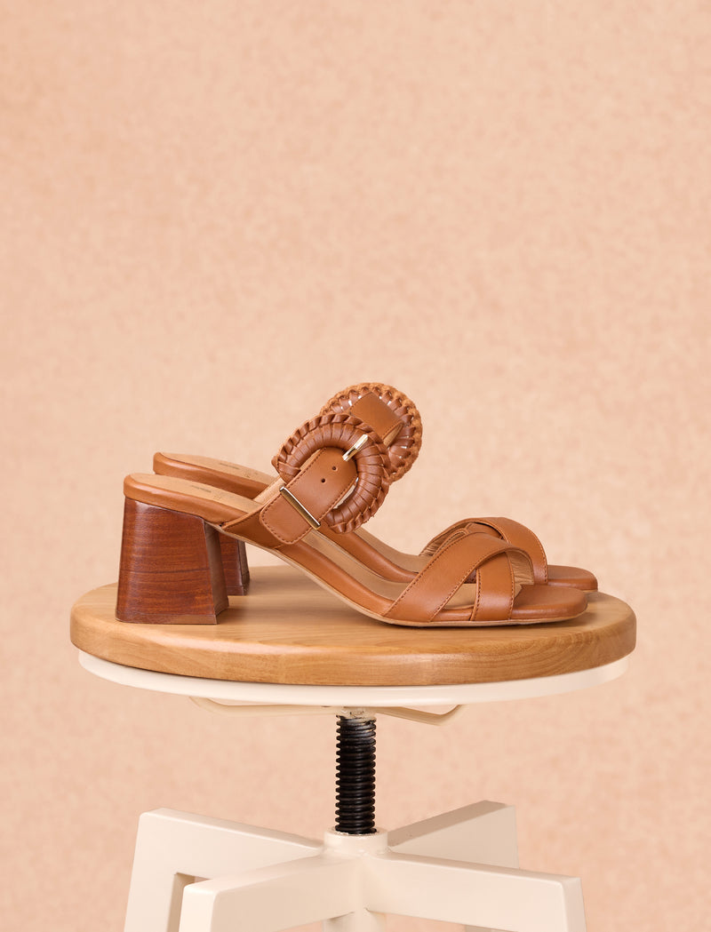 Gloria - Camel - Image principale