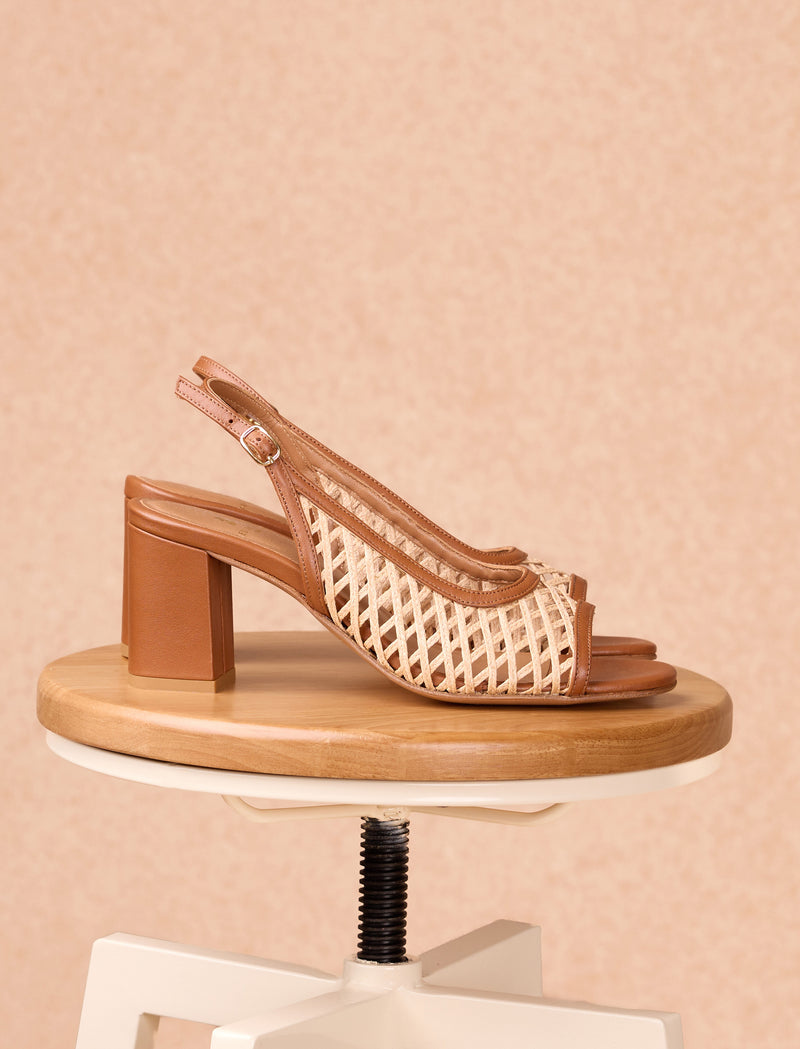 Rosa - Camel - Image principale