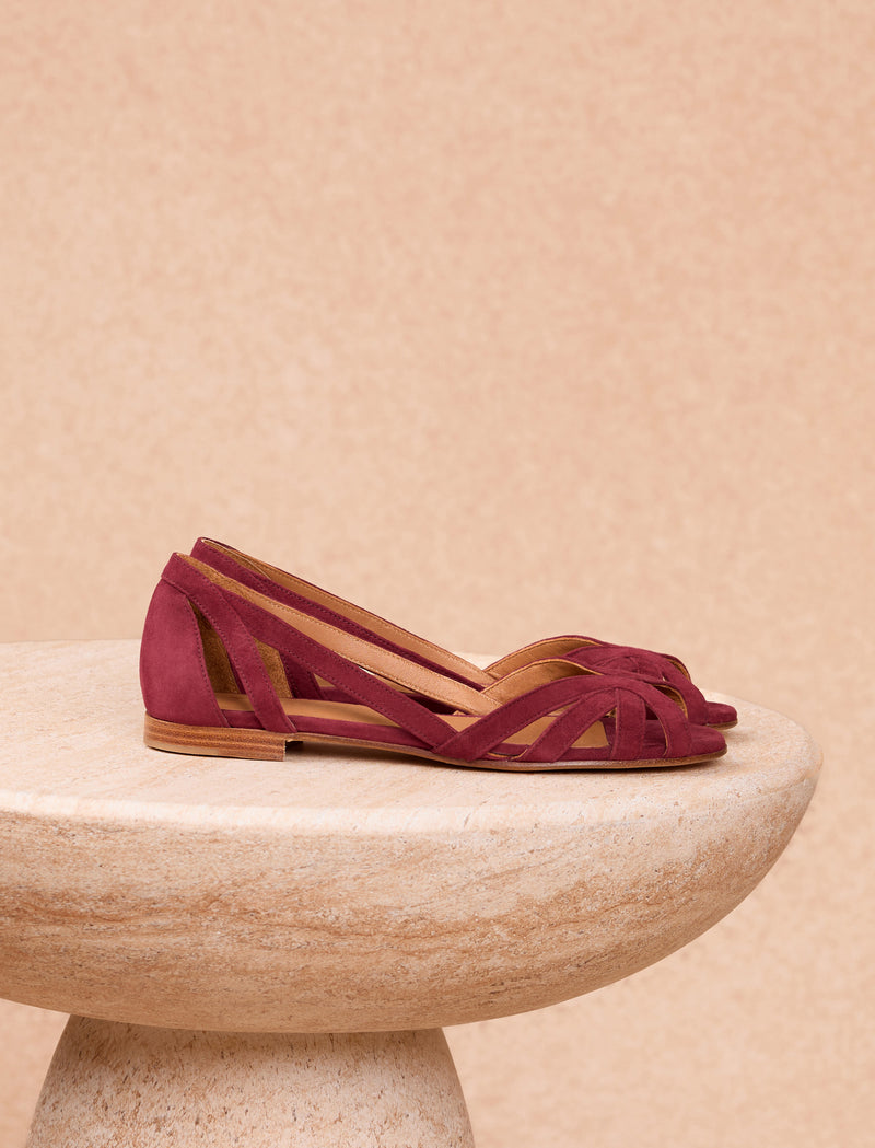 Hortensia - Muskat  - Image principale