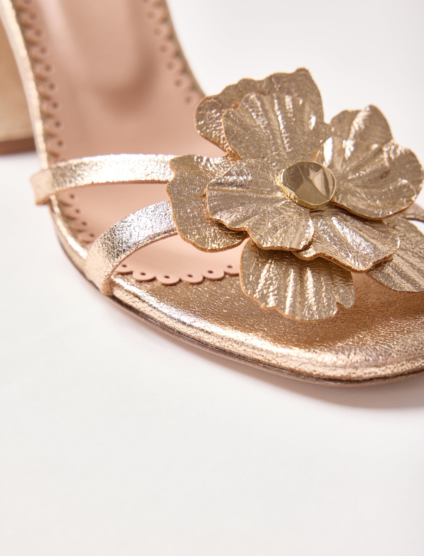 Eléonore Pauc - Champagne