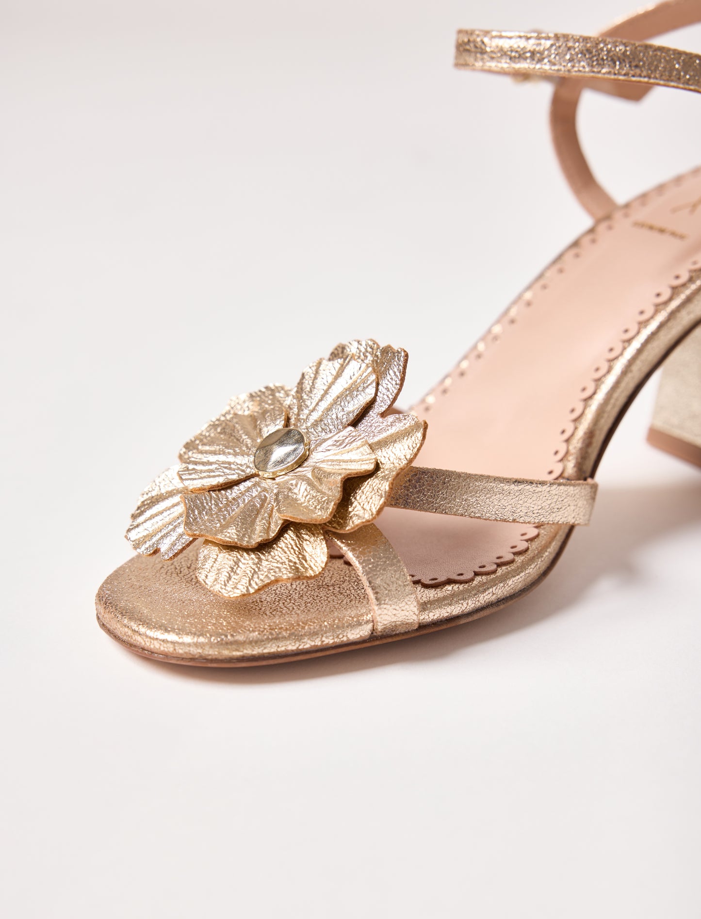 Eléonore Pauc - Champagne