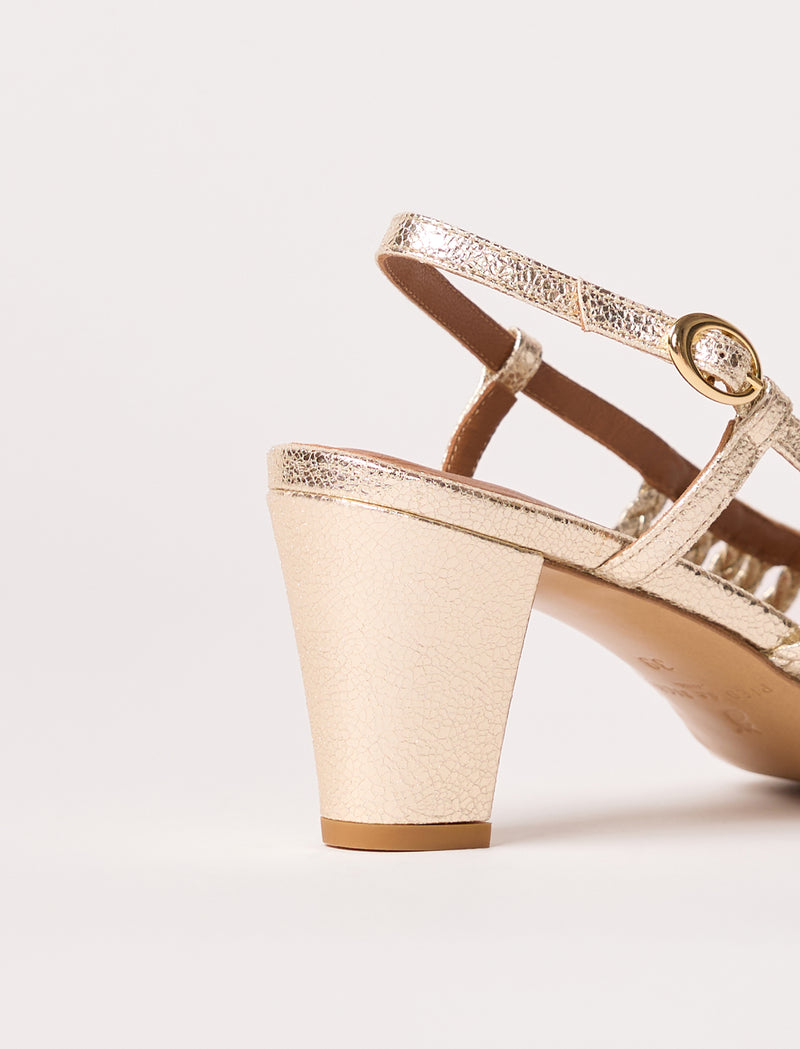 Fleur - Champagne - Image principale