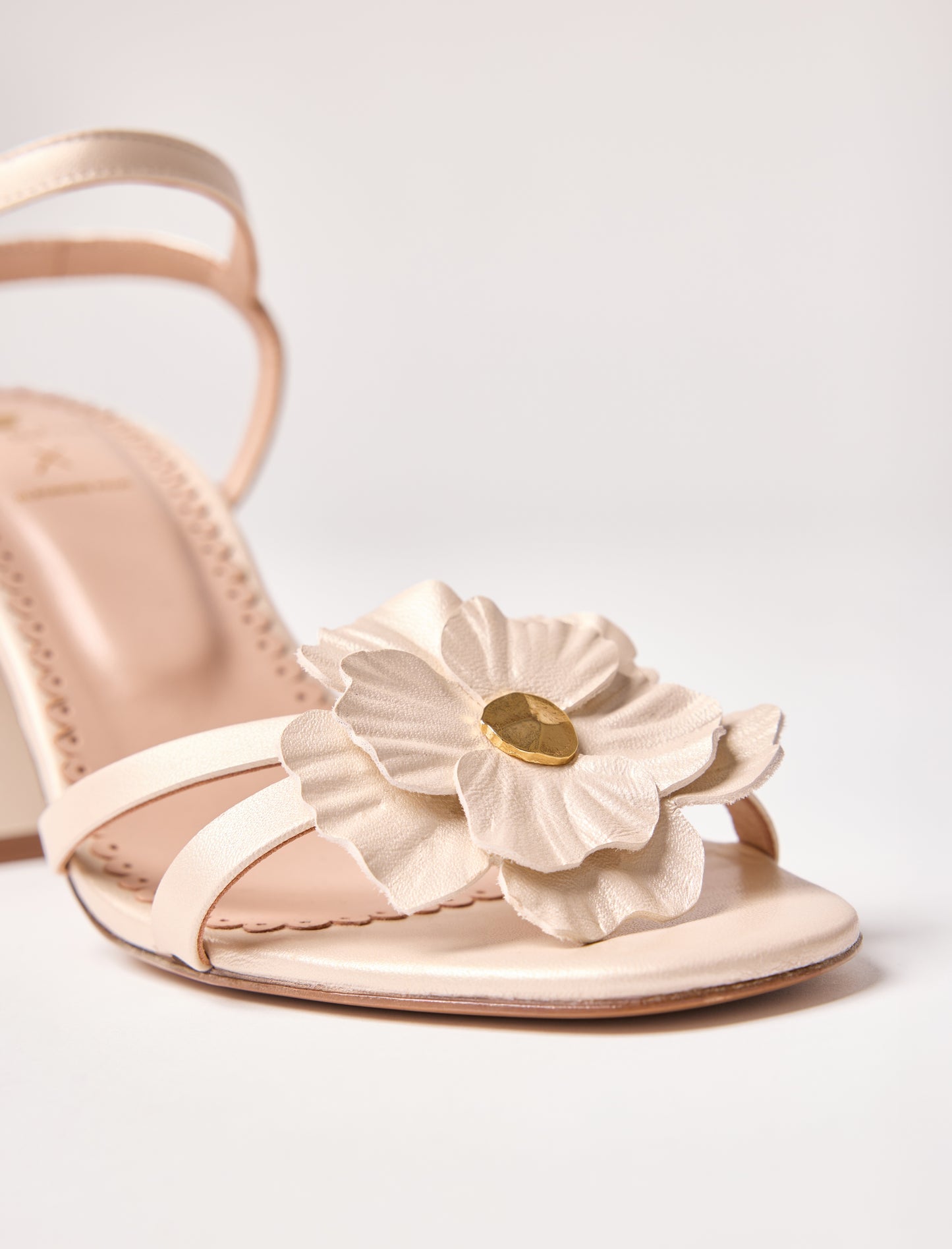 Eléonore Pauc - Ivoire