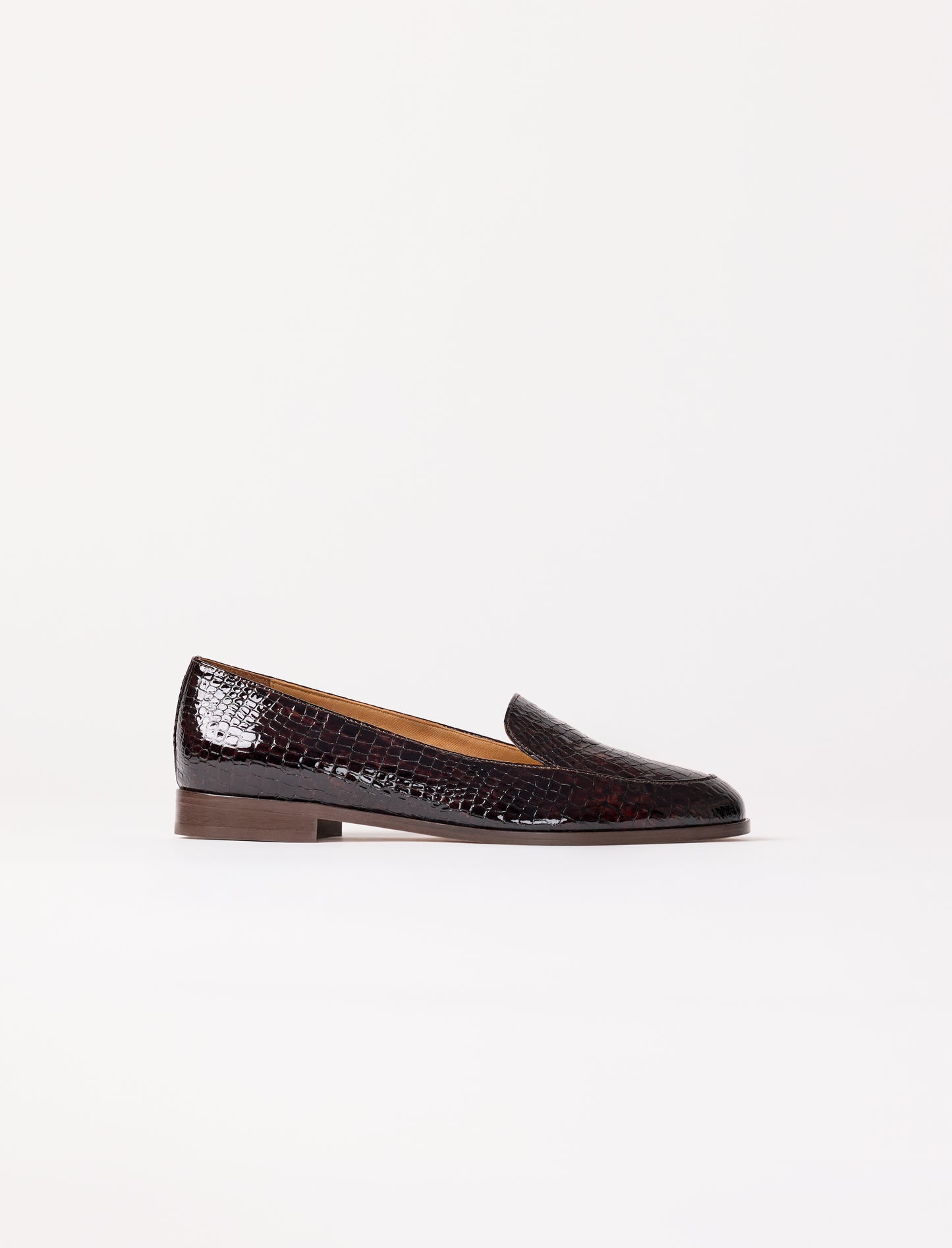 Lou - Brun reptile