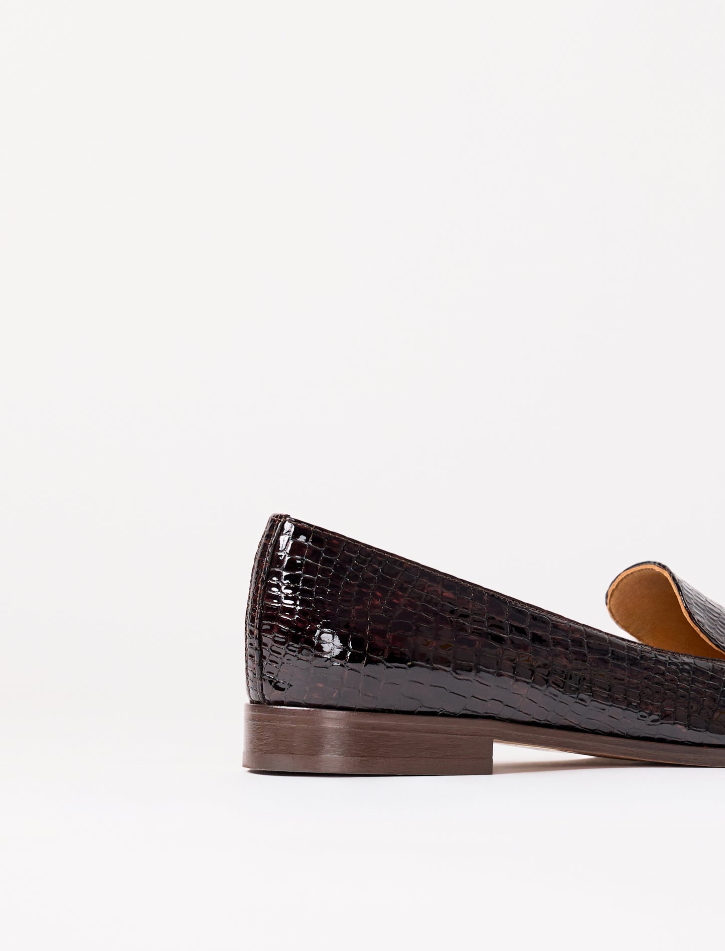Lou - Brun reptile