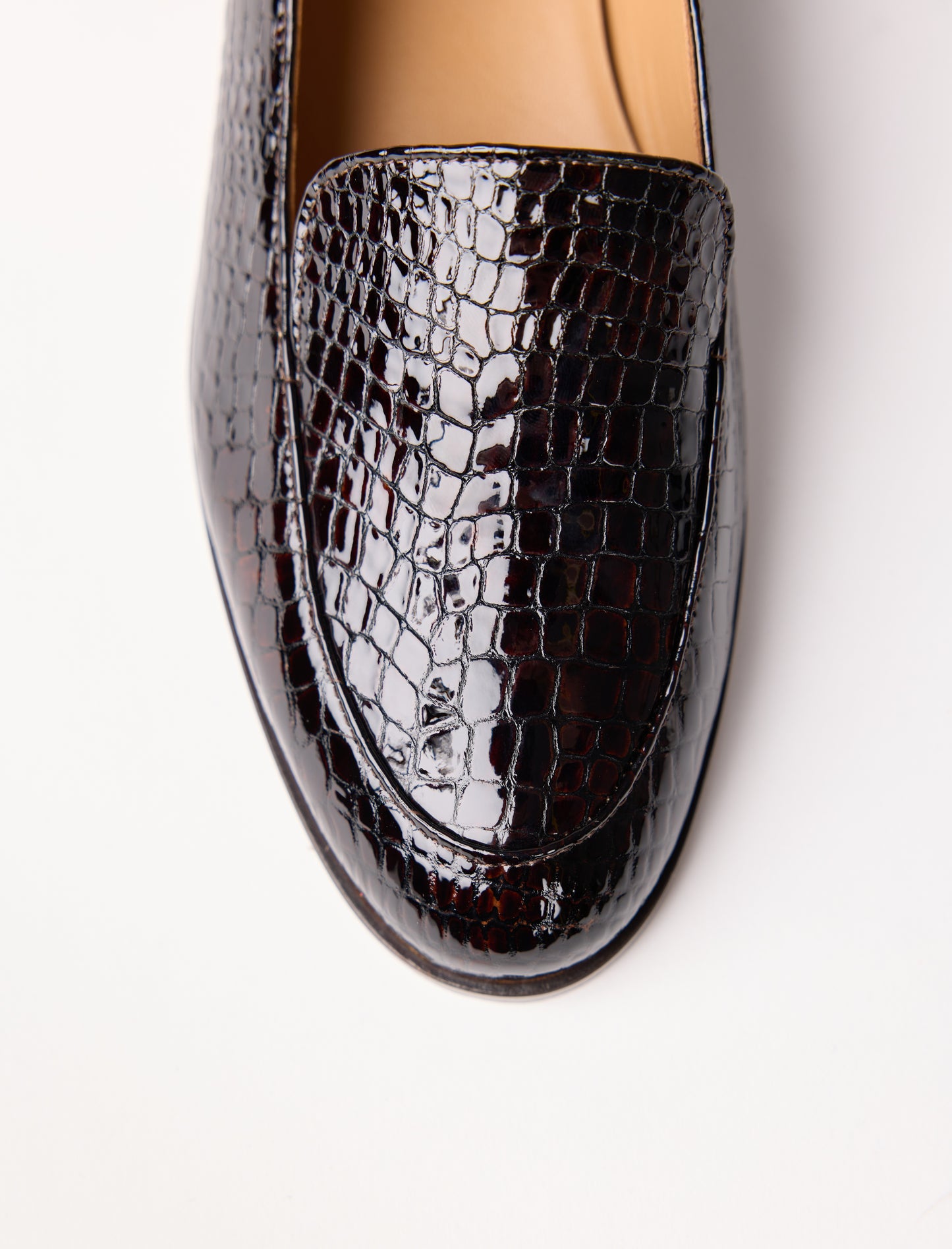 Lou - Brun reptile