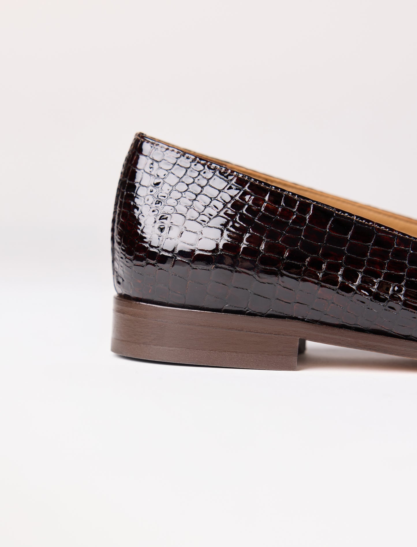 Lou - Brun reptile