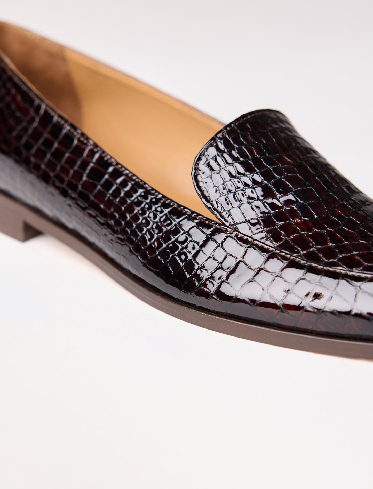 Lou - Brun reptile