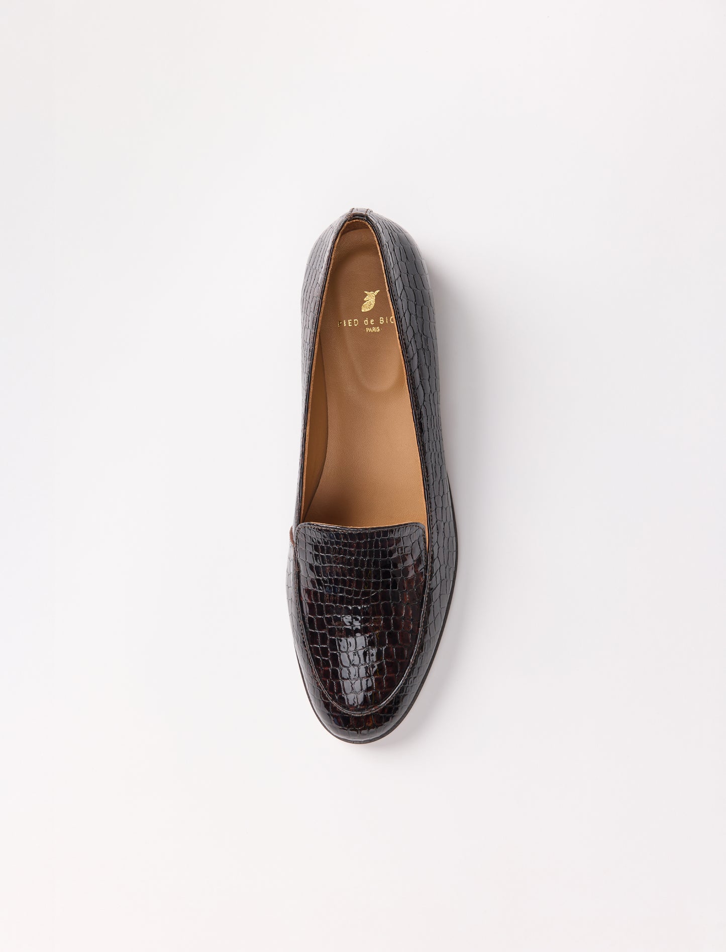 Lou - Brun reptile