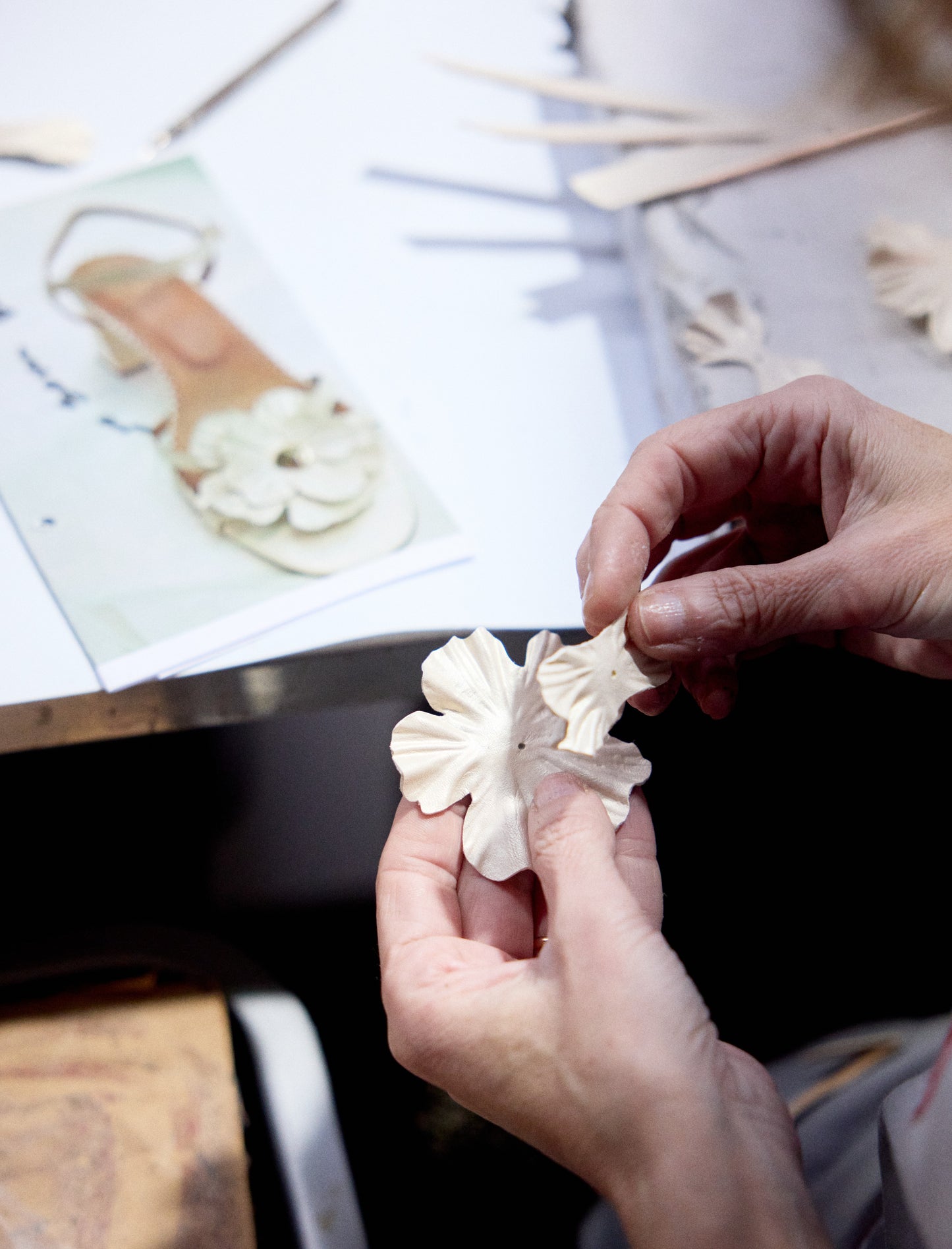 Éléonore Pauc - Elfenbein 