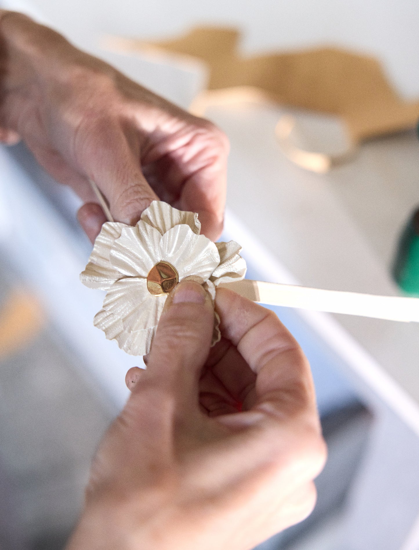 Éléonore Pauc - Elfenbein 